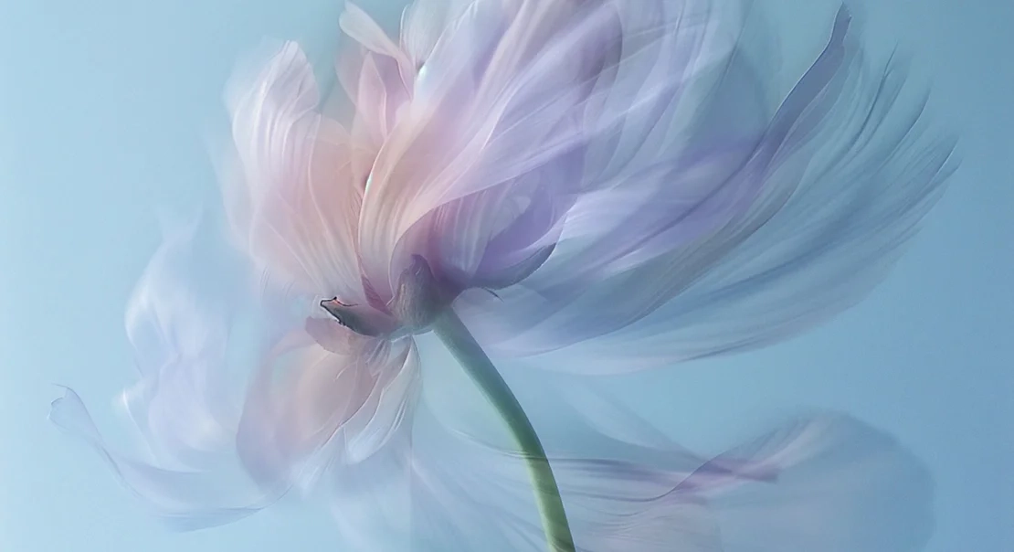 Pathways Squads put in strong impression